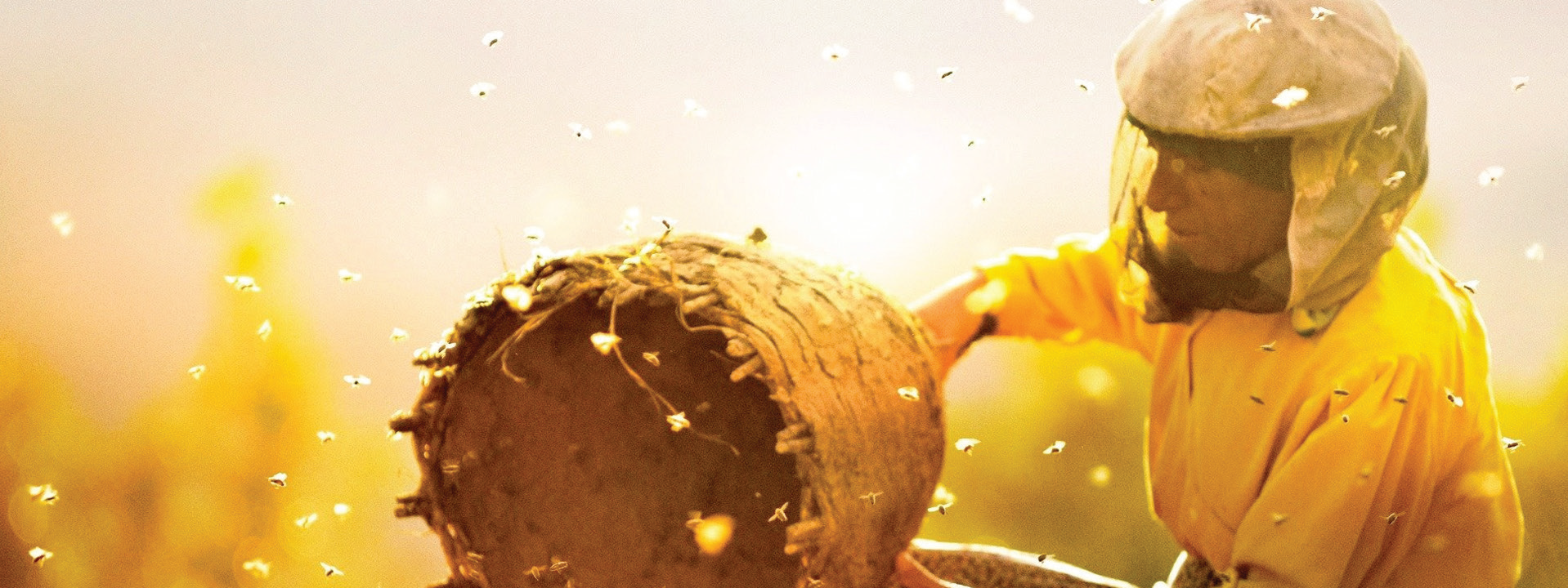 Honeyland
